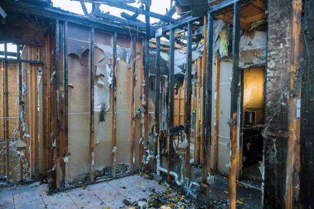 Professional Smoke Damage Removal technician working in Erwinna, PA